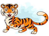 Tigers